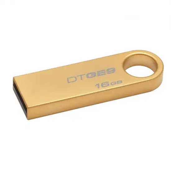 Kingston Technology GE9 16GB DTGE9/16GBZ