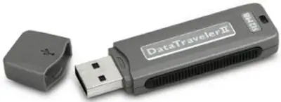 Kingston Technology DataTraveler II 1 GB KUSBDTII/1GB