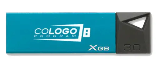 Kingston Technology Mini 3.0 32GB Co-Logo DTM30/32GBCL