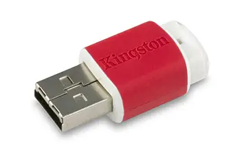 Kingston Technology Mini – Migo Edition 512 GB DTM/512