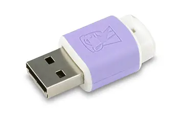 Kingston Technology Mini Migo 2 GB DTM/2GB