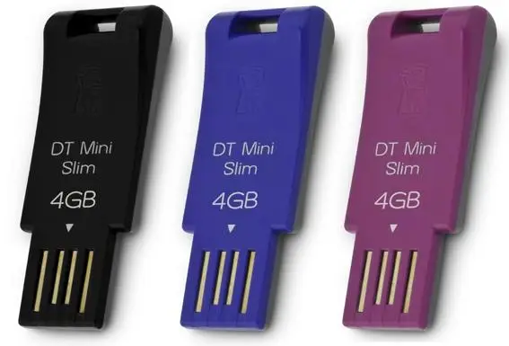 Kingston Technology Mini Slim 4 GB DTMS/4GB