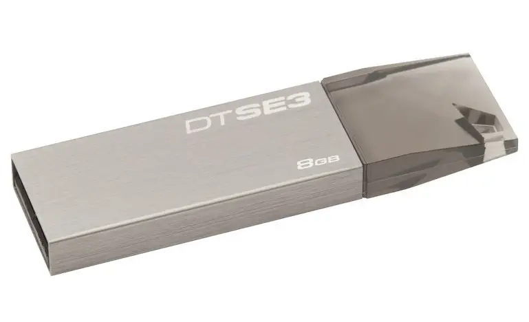 Kingston Technology SE3 8GB DTSE3S/8GB