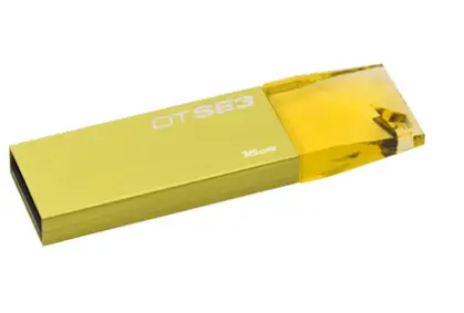 Kingston Technology DTSE3Y/16GB