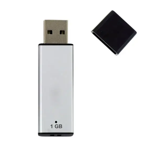 Nilox U2NIL1PPL002 1 GB