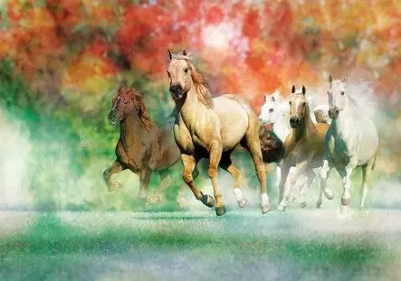 Clementoni Runners in the Wind 31951