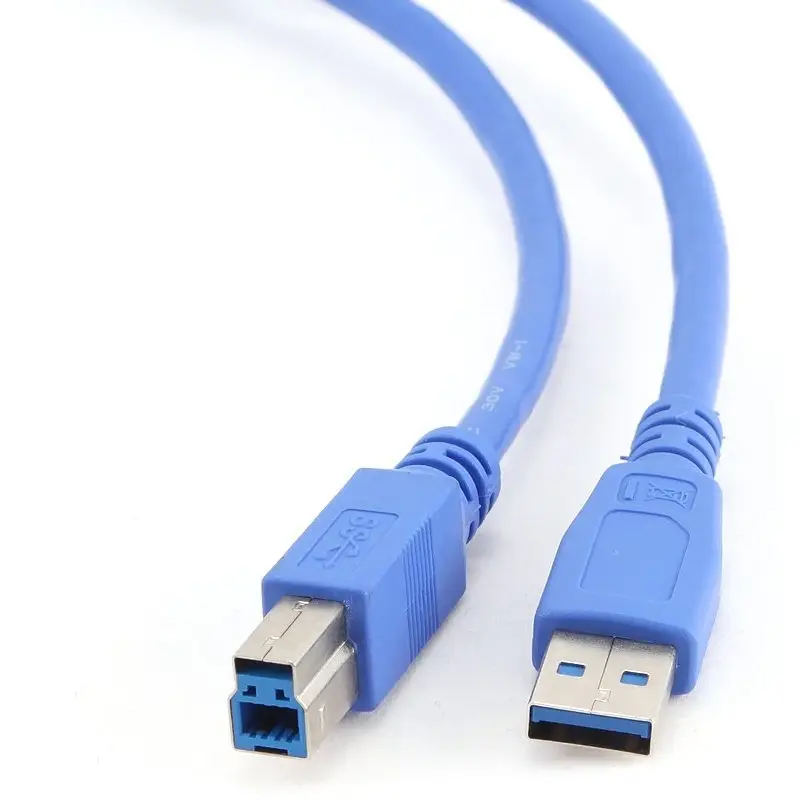 iggual IGG311851