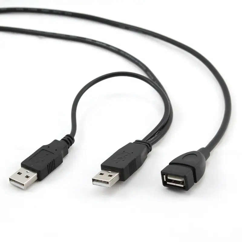 iggual IGG312032