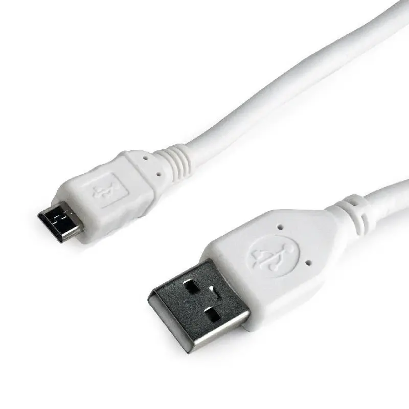 iggual IGG312193