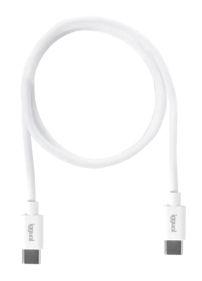 iggual IGG317365 60 W