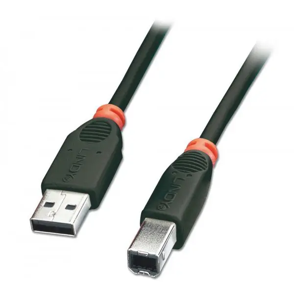 Lindy 0.2m USB 2.0 31842
