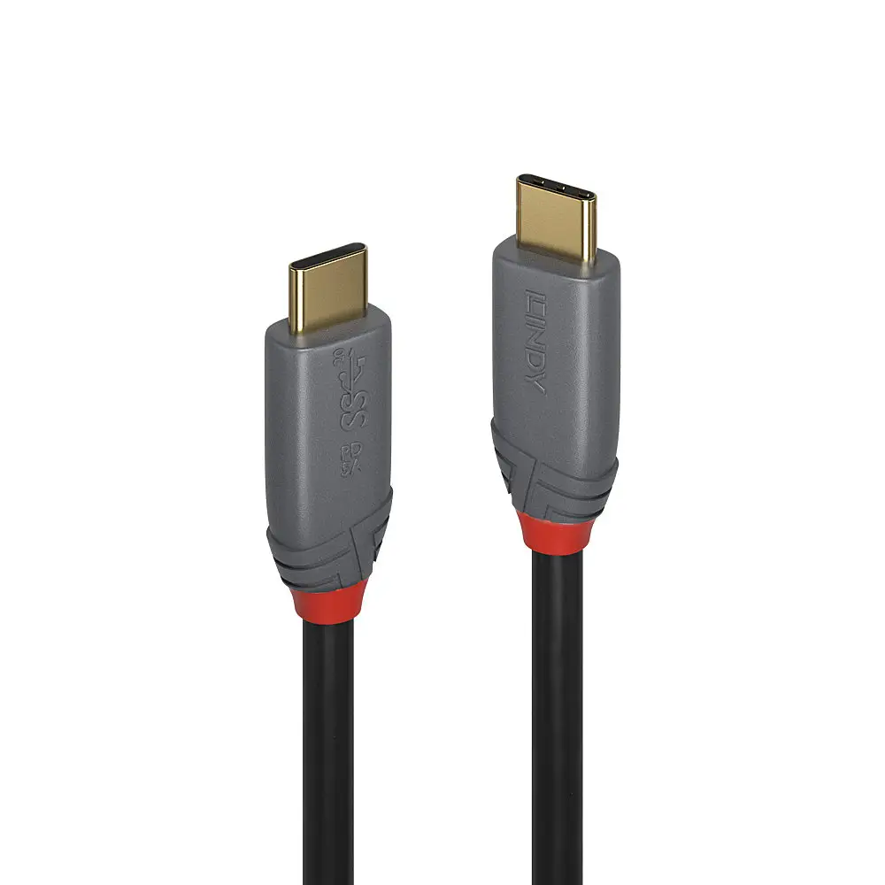 Lindy 36901