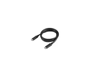 Lenovo 4X90U90619 100 W