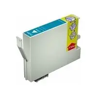 Epson Cleaning Cartridge T623000 240 ml C13T623000